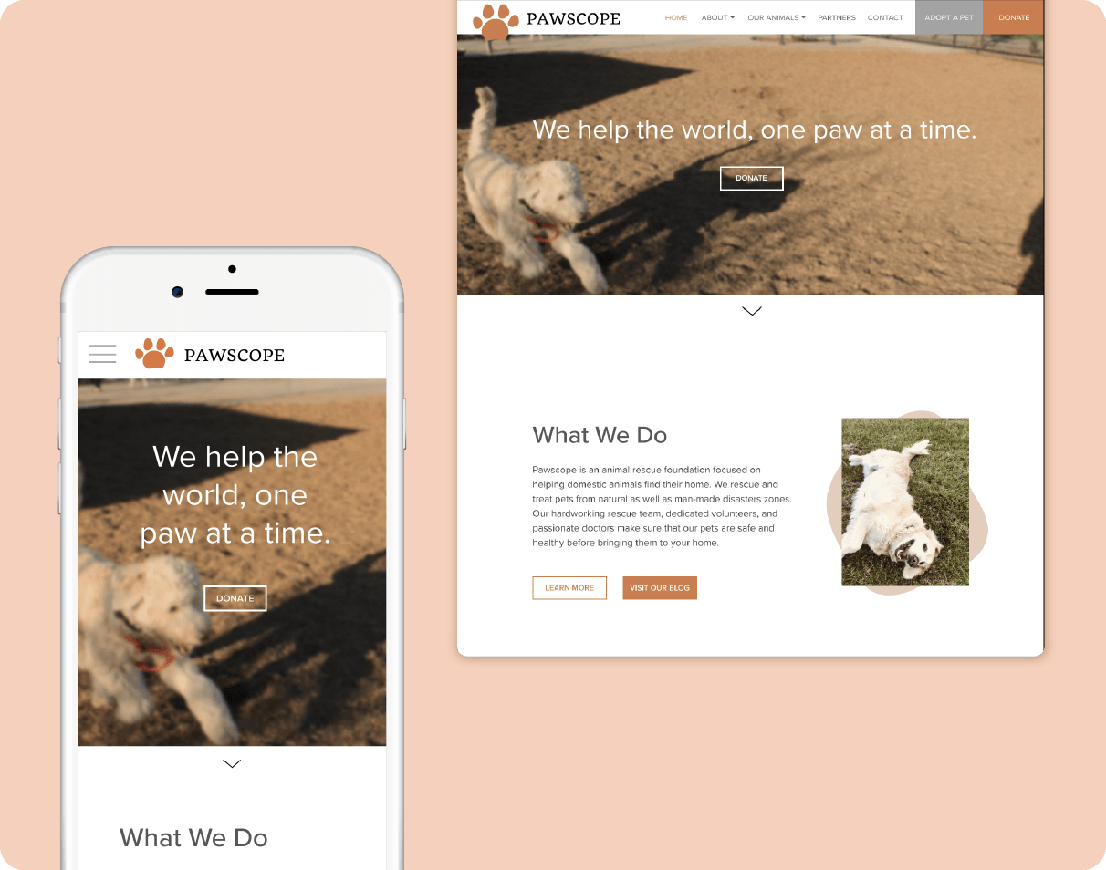 Pawscope web page mockups